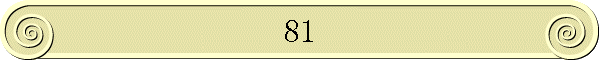 81